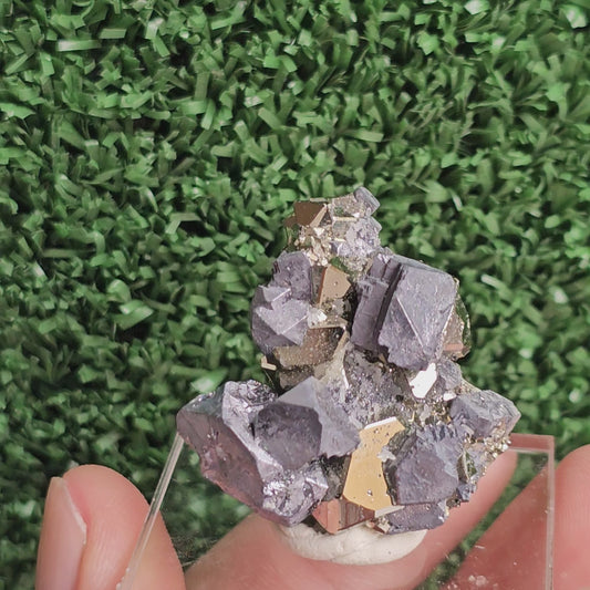 Galena with Pyrite octahedral