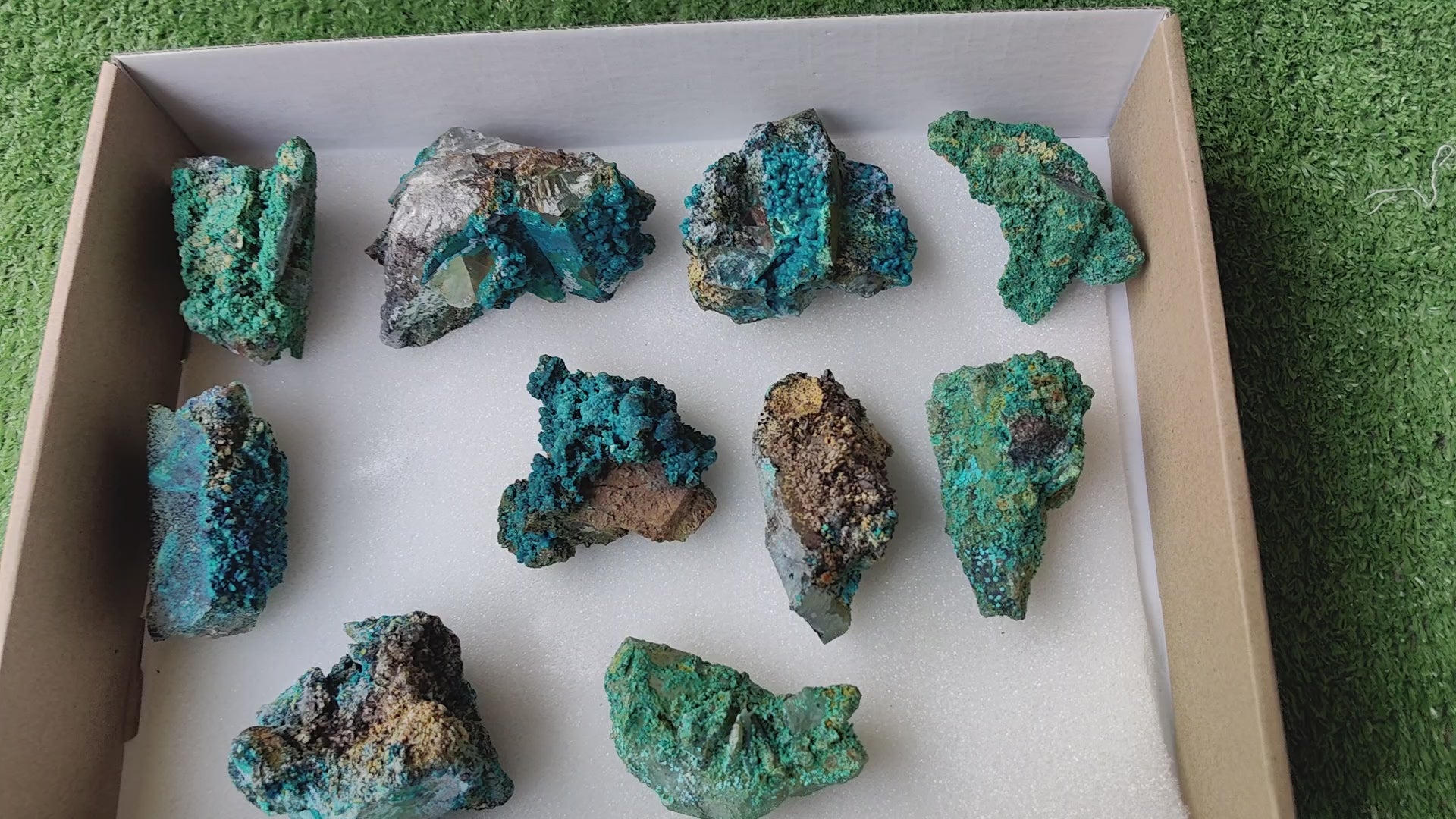 Load video: Lot 10 Chrysocolla on Quartz