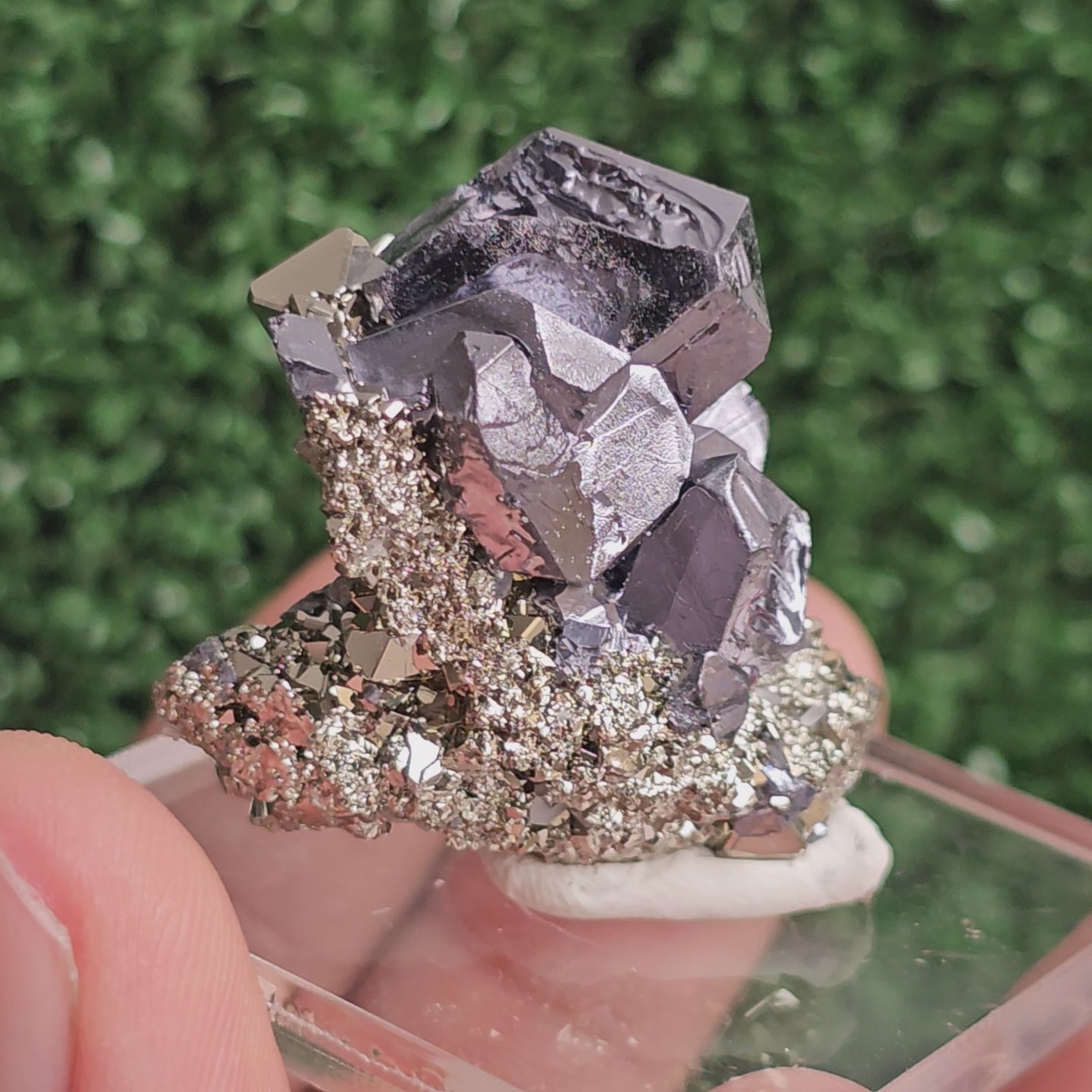 Load video: Galena with Pyrite octahedral