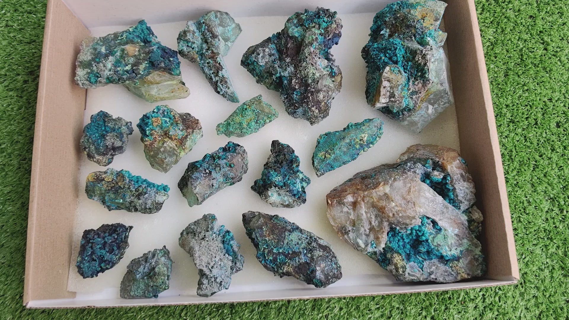 Load video: Lot 16 Chrysocolla on Quartz