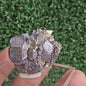 Galena with Pyrite octahedral