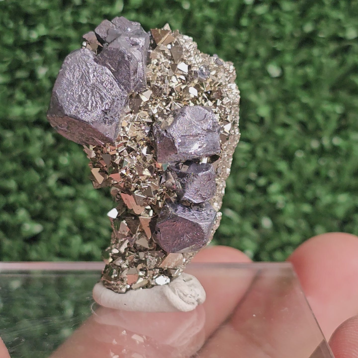 Load video: Galena with Pyrite octahedral