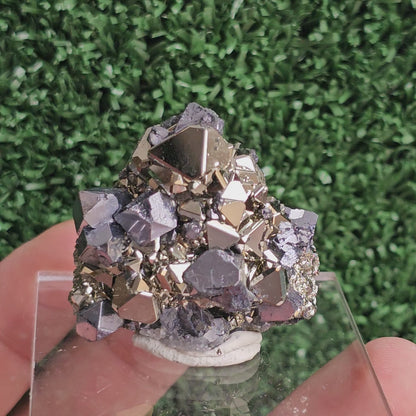 Galena with Pyrite octahedral