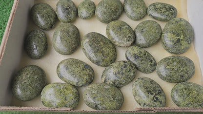 Lot 21 Palms Epidote