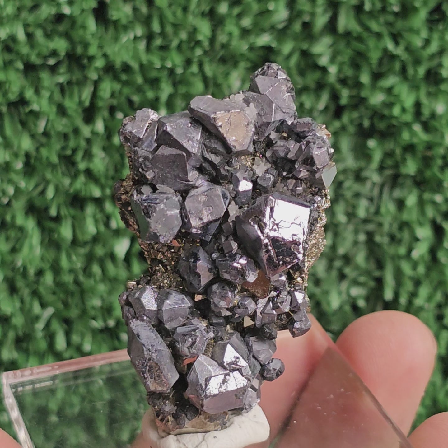 Load video: crystallized galena with Pyrite octahedral
