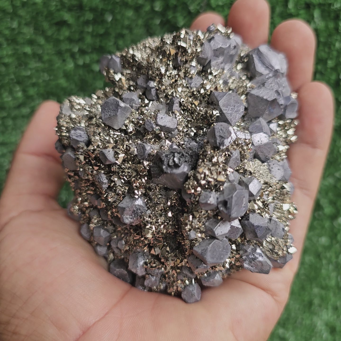 Load video: Galena Crystals on Octahedral Pyrite