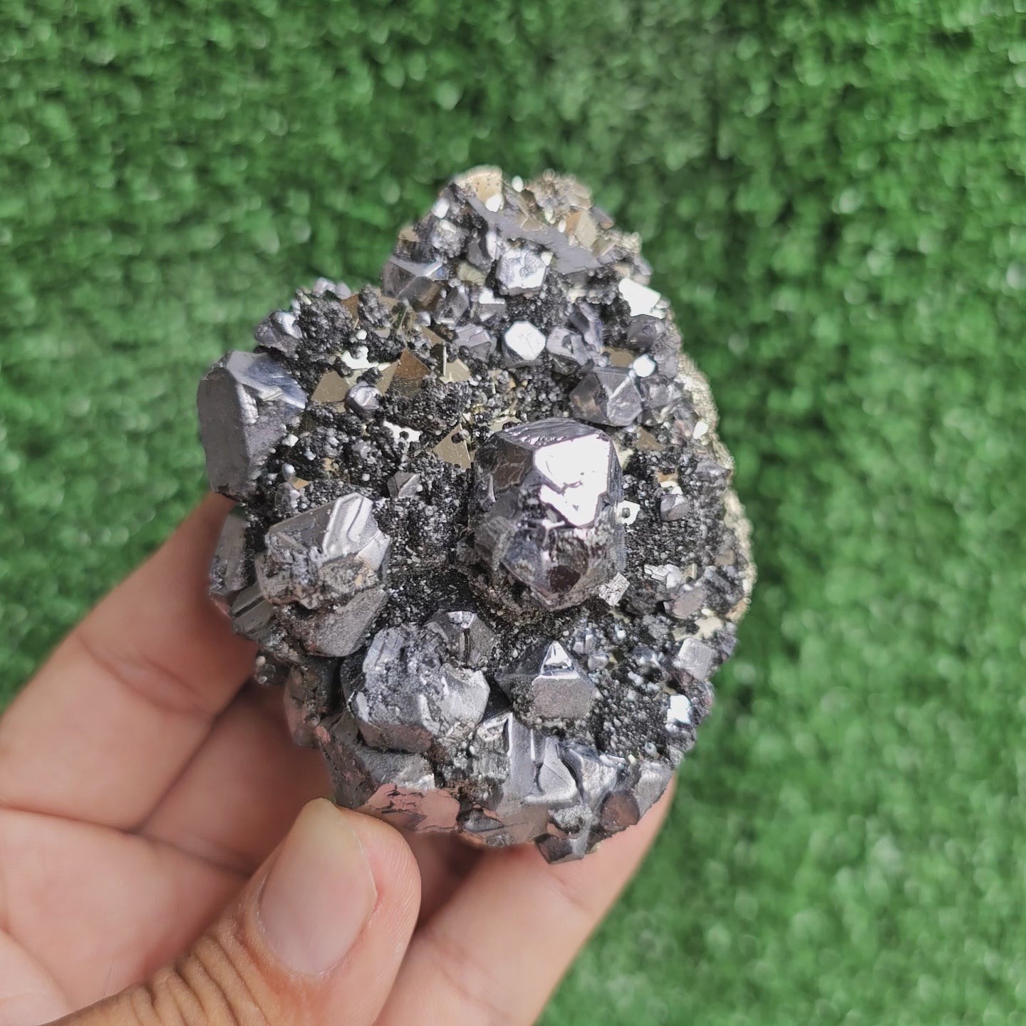 Load video: Galena Crystals on Octahedral Pyrite