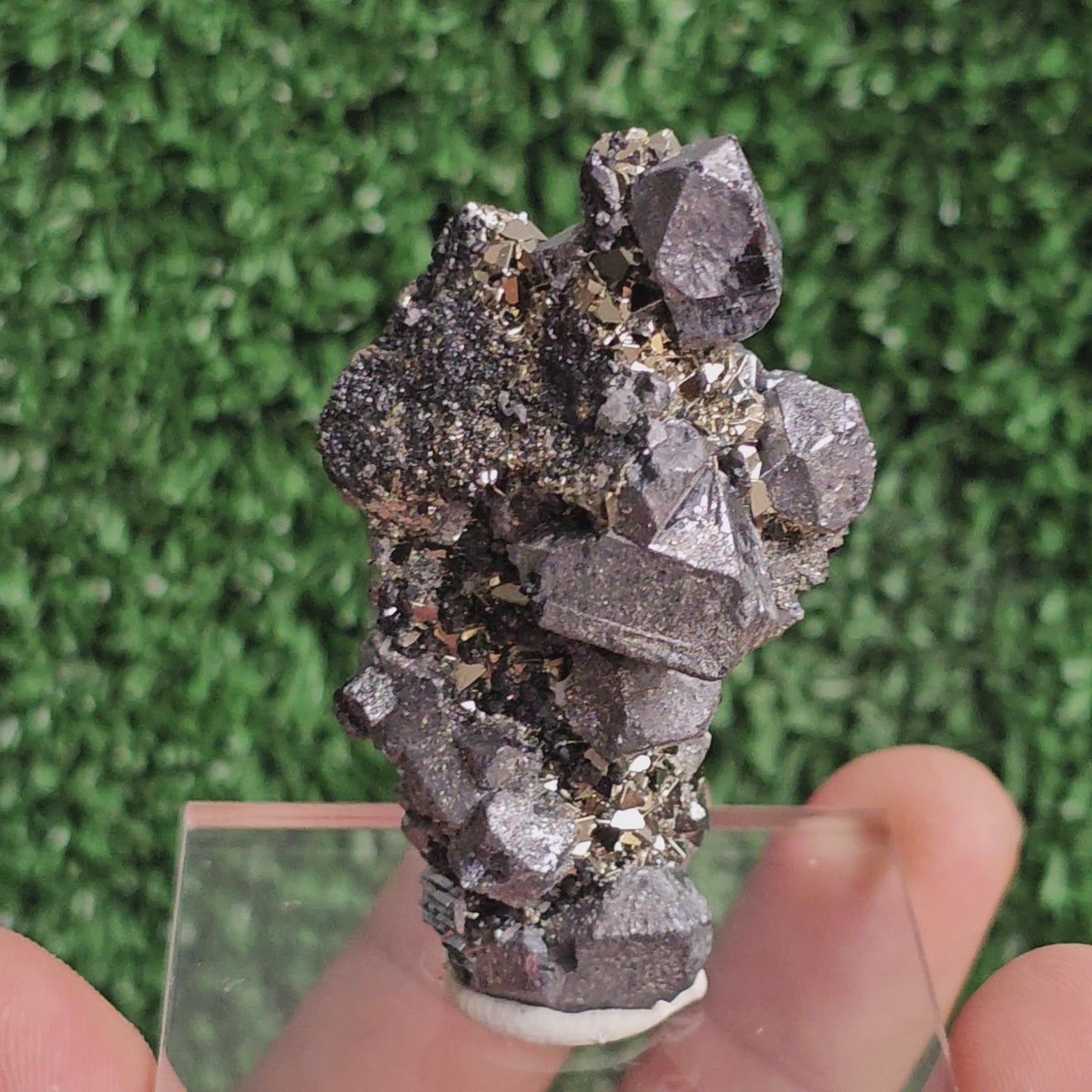 Load video: Galena with Pyrite octahedral