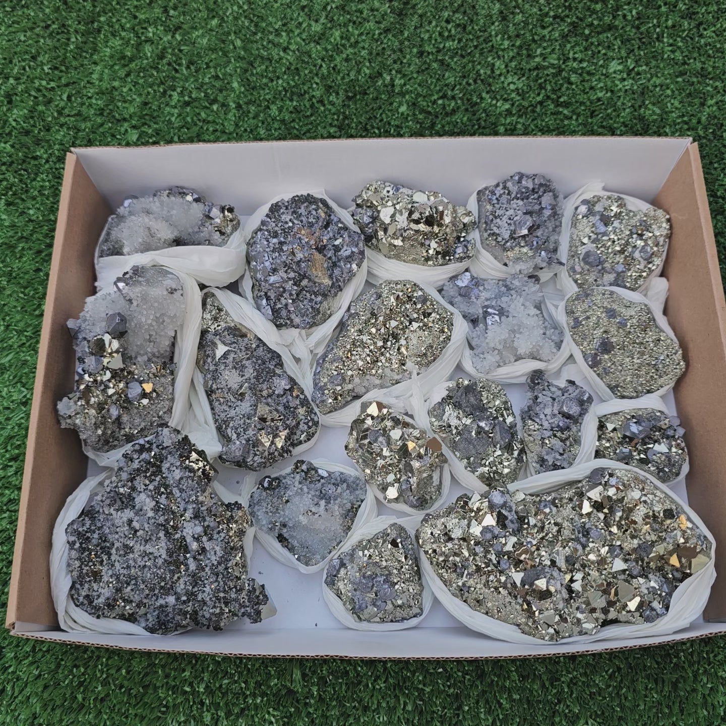 Load video: 18 pc Galena crystals on octahedral pyrite