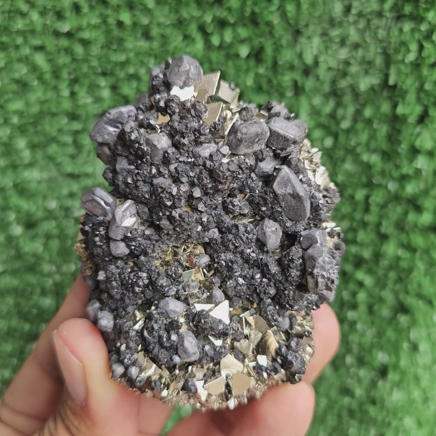 Load video: crystallized galena with Pyrite octahedral