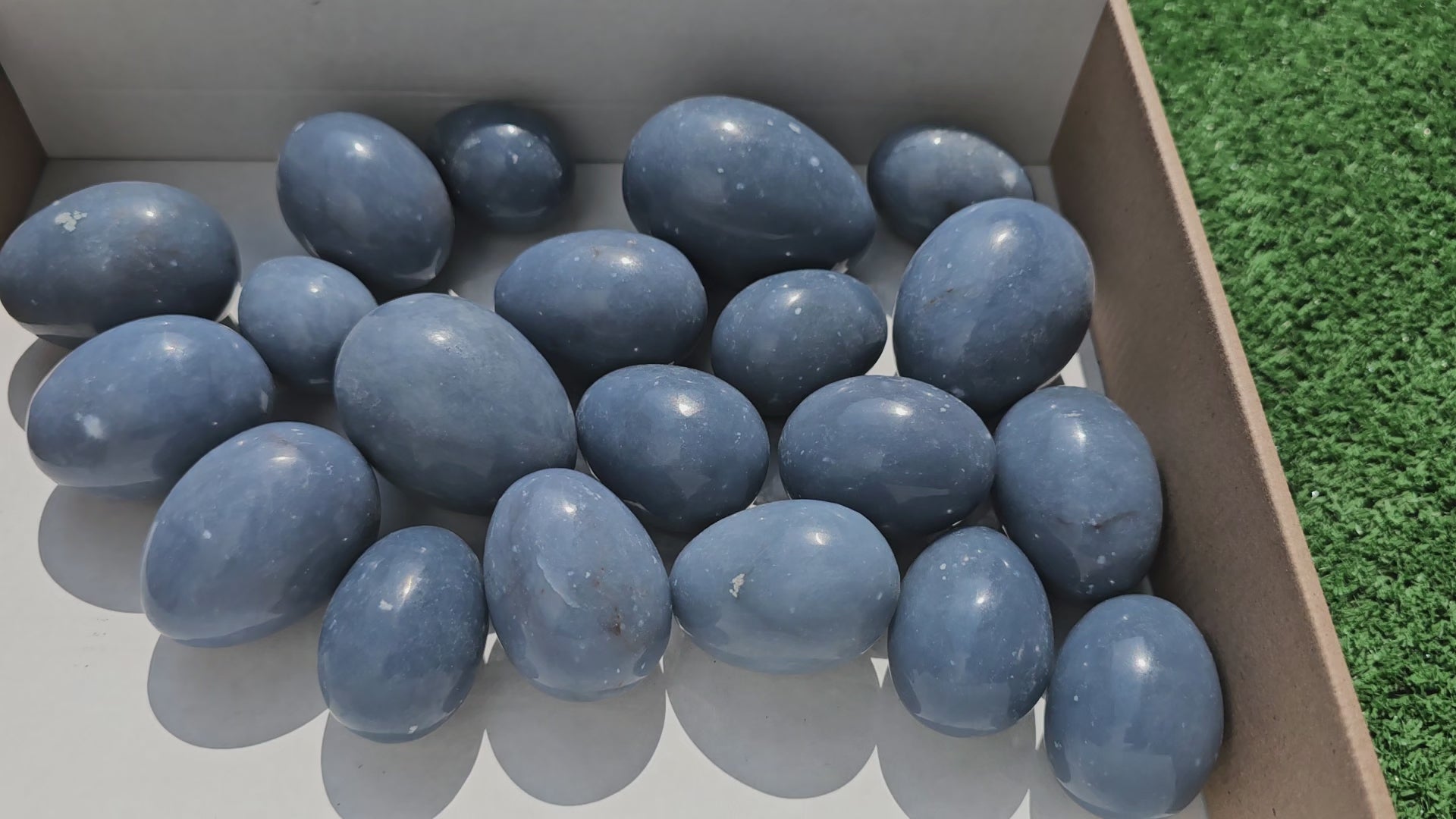 Load video: Lot 20 eggs Angelite***