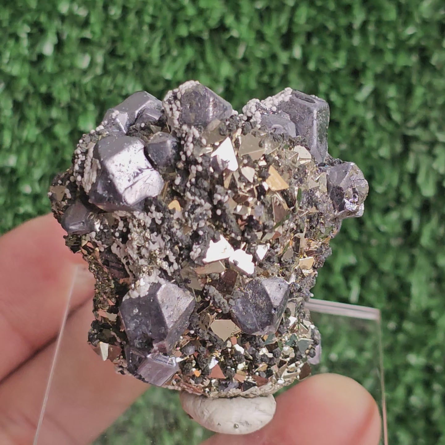 Load video: Galena with Pyrite octahedral