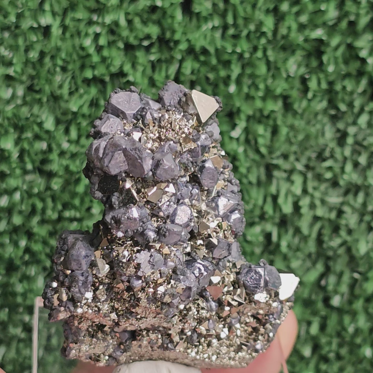 Load video: crystallized galena with Pyrite octahedral