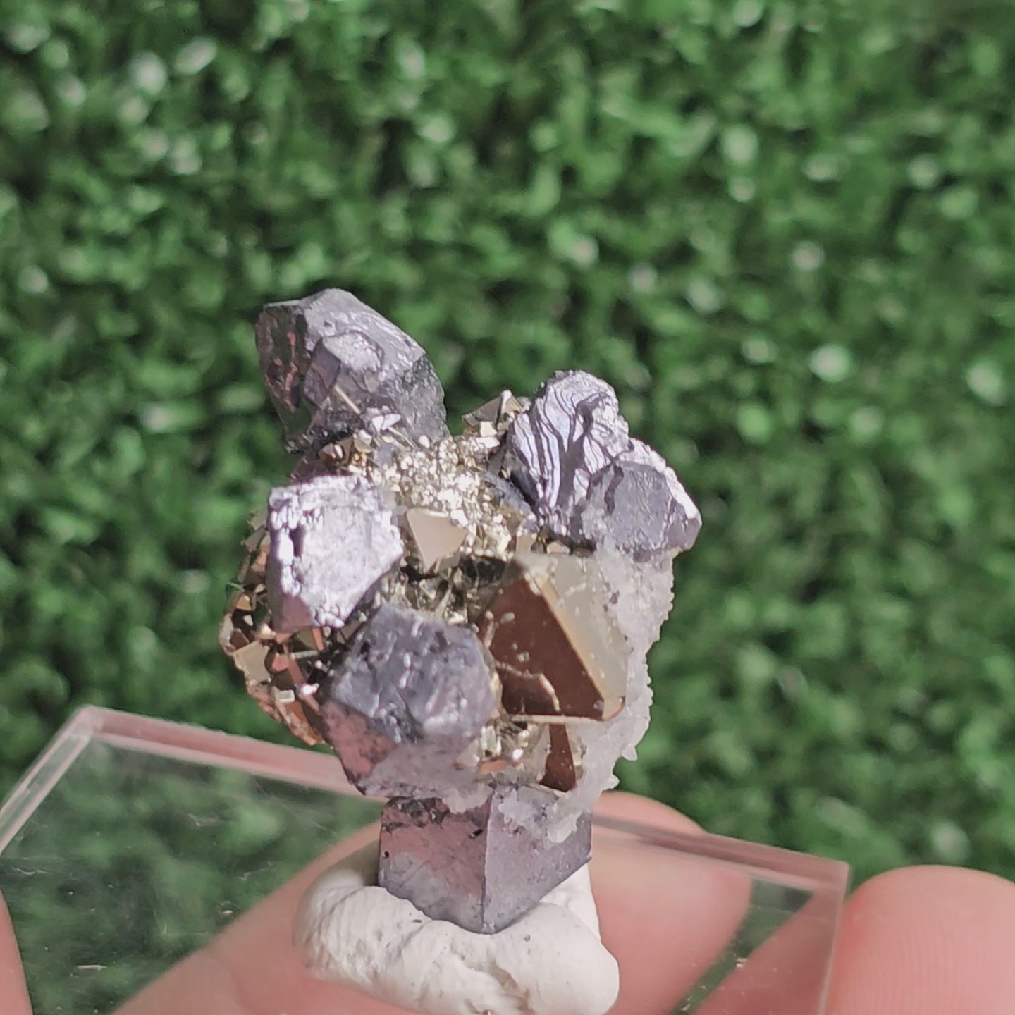 Load video: Galena with Pyrite octahedral