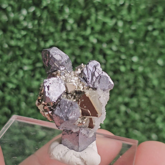 Galena with Pyrite octahedral